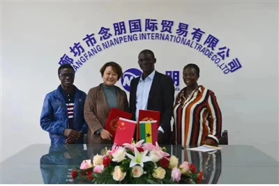 Van alle soorten baksteenproductieapparatuur heeft de statische druk-baksteen...